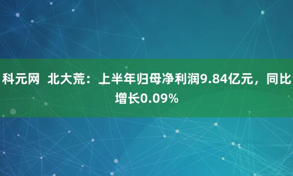 科元网  北大荒：上半年归母净利润9.84亿元，同比增长0.09%